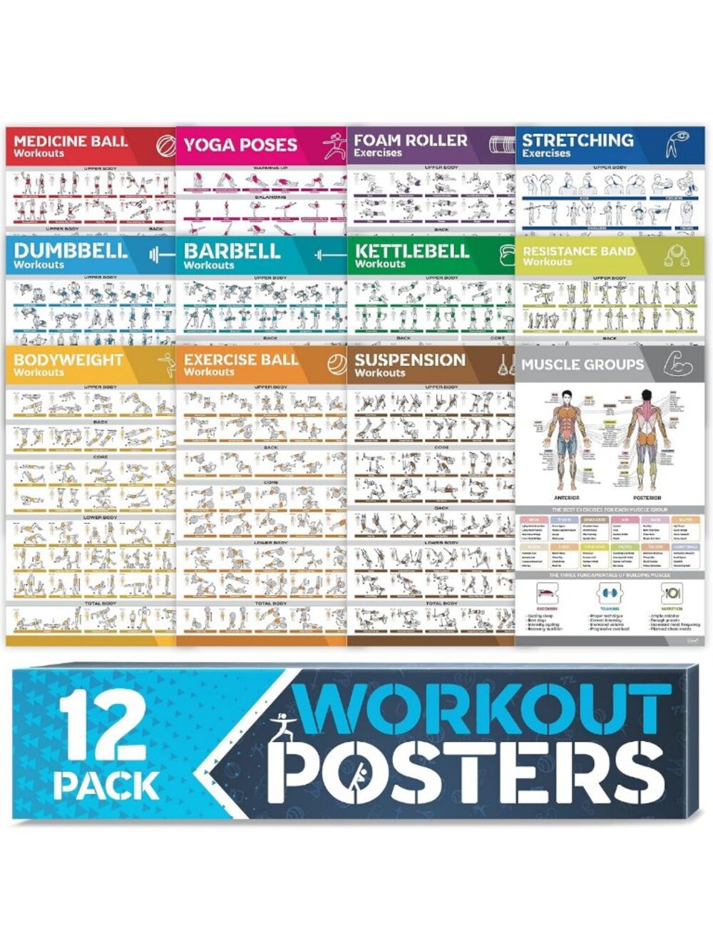 12-Pack Laminated Workout Posters Set - Home Gym Exercise Charts for Yoga